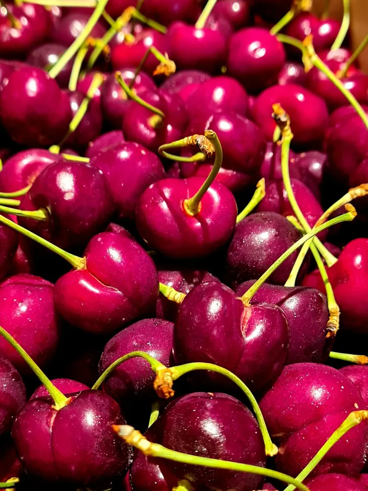 legumes (2)
