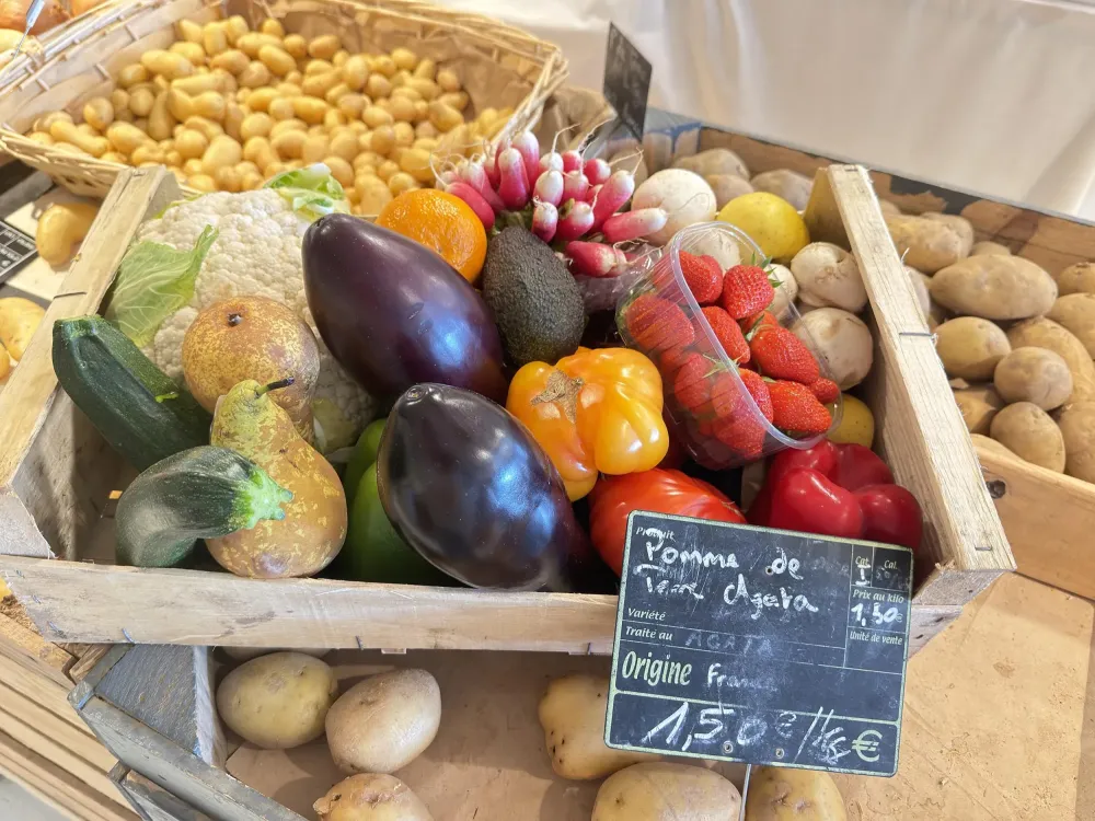 panier (9) (1)